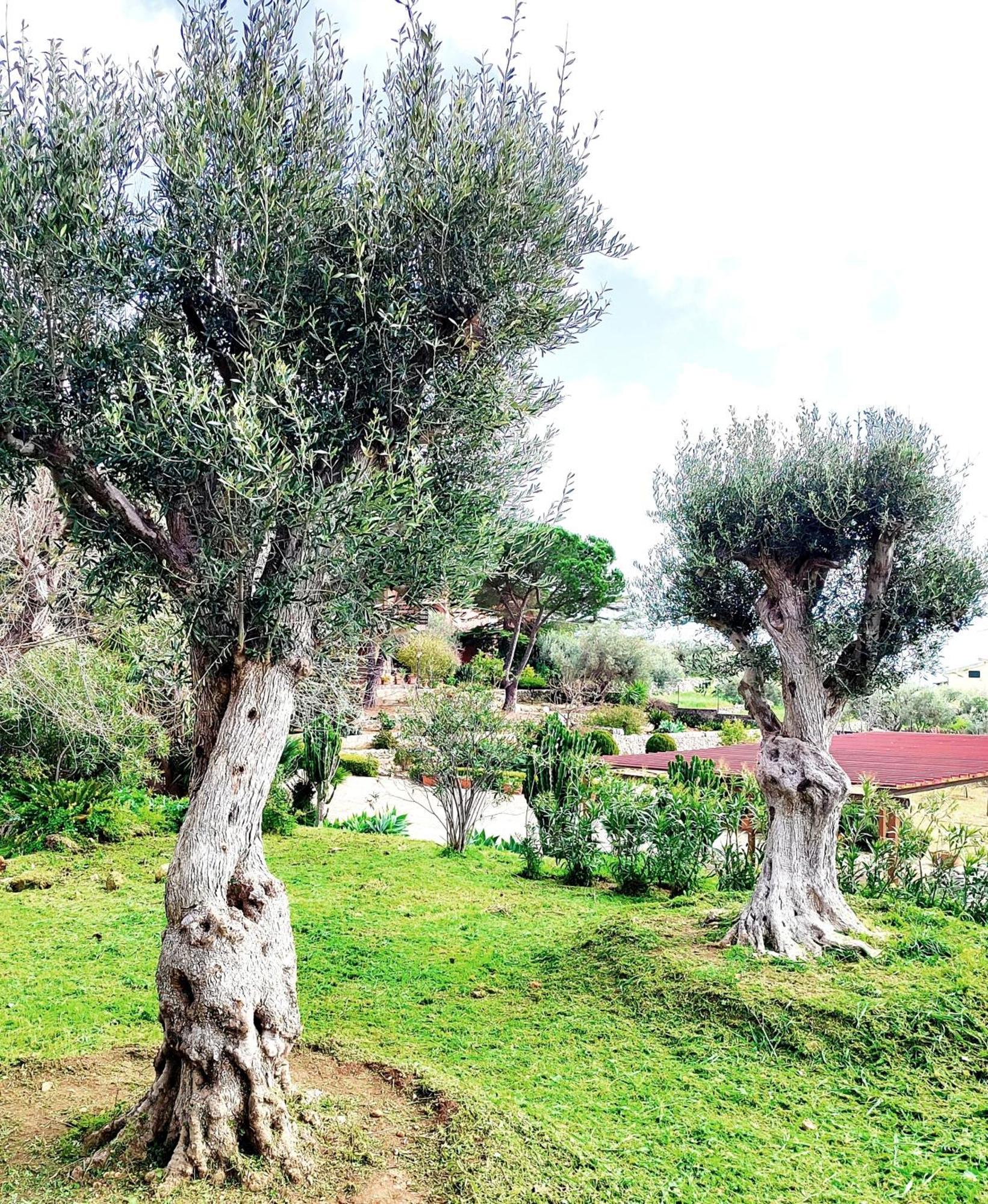 Villa Orizzonte Sullo Jonio Avola Eksteriør billede